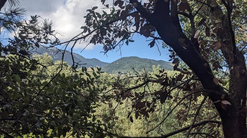 Casa rural para 4 personas, con jardín y vistas además de terraza y piscina en Valles Oriental - 3