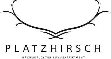 Ganze Ferienwohnung, Platzhirsch in Itter, Kitzbüheler Alpen