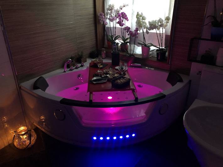Chambre d’hôte pour 4 personnes, avec piscine ainsi que jacuzzi et jardin, animaux acceptés