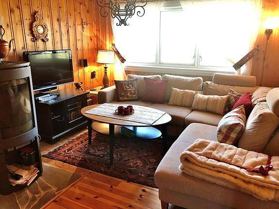 Ferienhaus für 10 Personen, mit Terrasse und Sauna in Trysil - 4