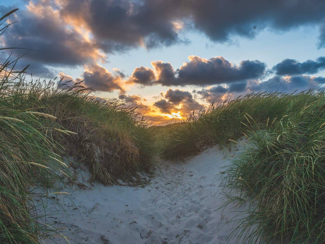 Kustsereniteit in Bjerregard in Hvide Sande, Holmsland Klit