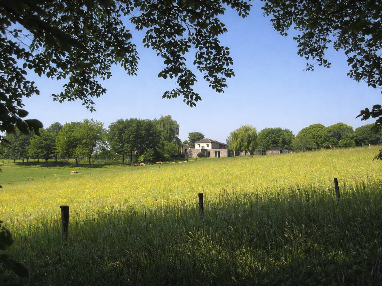 Vrijstaande 10 persoons in Gulpen, Limburg