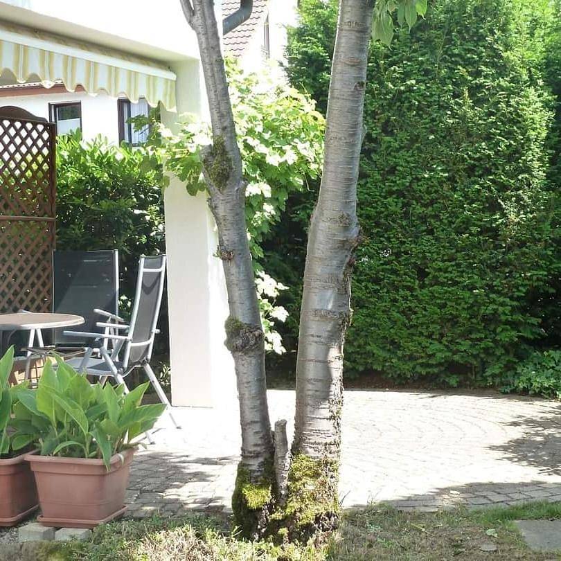 Appartement entier, One-Bedroom Apartment in Emmendingen, Forêt-Noire du Sud