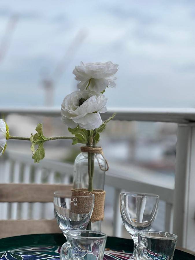 Chambre d’hôte pour 2 personnes, avec terrasse et vue à Issy-les-Moulineaux - 4