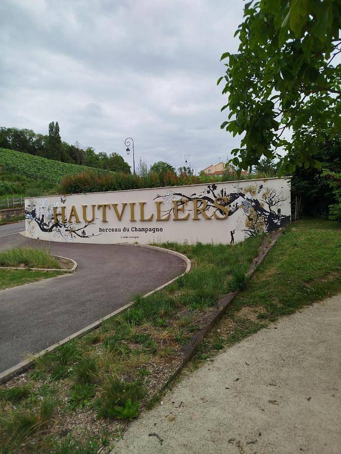 Location de vacances pour 6 personnes, animaux acceptés à Hautvillers