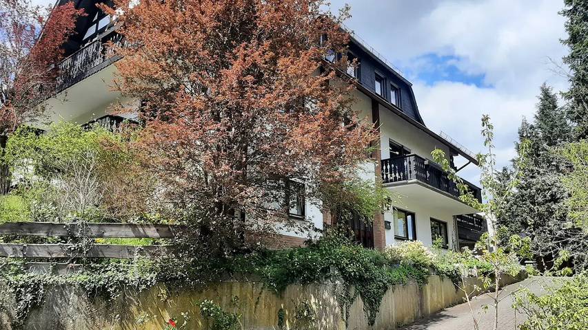 Ferienwohnung für 4 Personen, mit Terrasse in Hallenberg