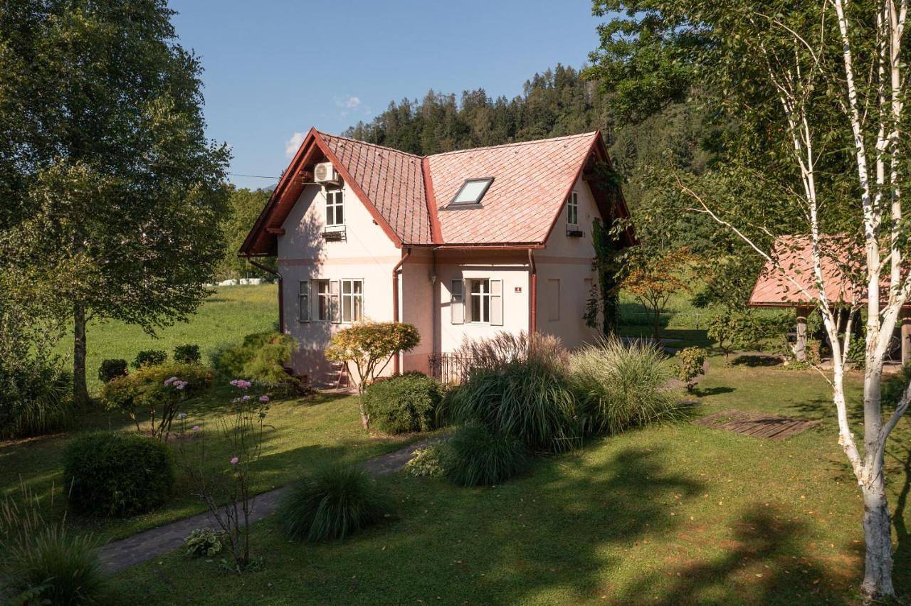 Cały apartament wypoczynkowy, Homestay Vito by Lake in Bled, Park Narodowy Triglav
