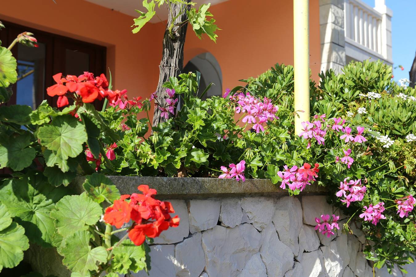 Ganze Wohnung, 2-Zimmer-Ferienwohnung am Strand Tri Zala, Korcula A-4432-a in Zrnovska Banja, Korcula