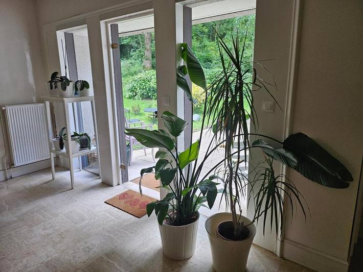 Location de vacances pour 3 personnes, avec terrasse et jardin à Plougastel-Daoulas - 4