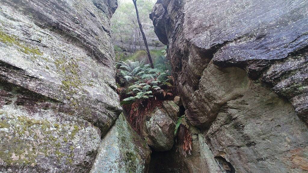 Wollemi Retreat - Preisgekröntes Öko-Retreat in Mid-Western Regional Council