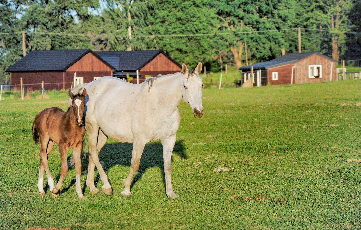 Cały apartament wypoczynkowy, Apartament wakacyjny dla 3 osób z taras in Bory Tucholskie