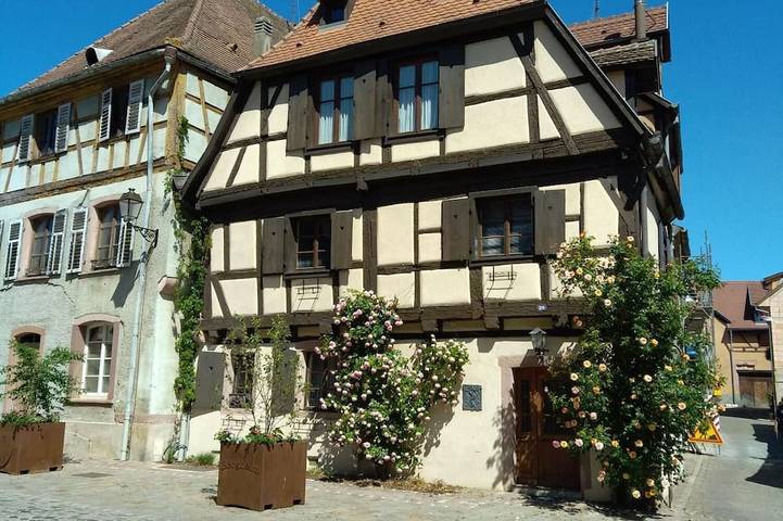 Ferienhaus für 4 Personen in Bergheim (Elsass)