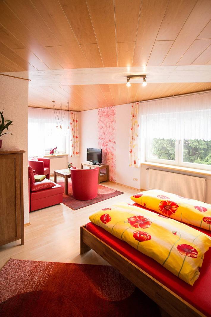 Ferienhaus für 18 Personen, mit Balkon und Garten in Thüringen - 4