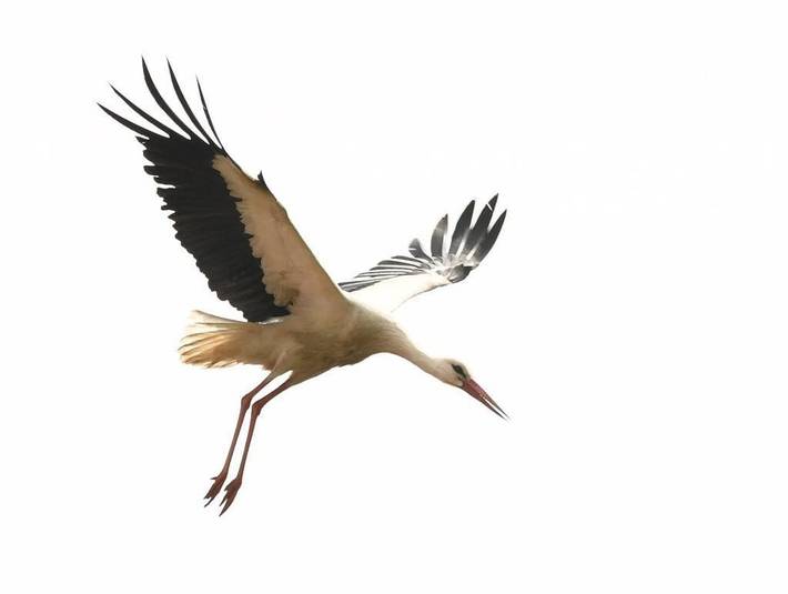 Ferienwohnung für 6 Personen, mit Garten in Grube