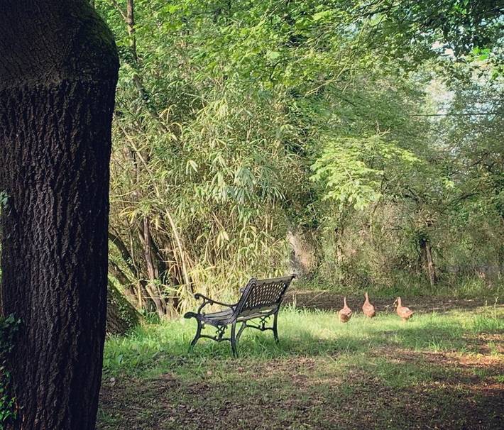 Location de vacances pour 15 personnes, avec vue sur le lac et vue ainsi que piscine et jardin, animaux acceptés à Nort-sur-Erdre - 4