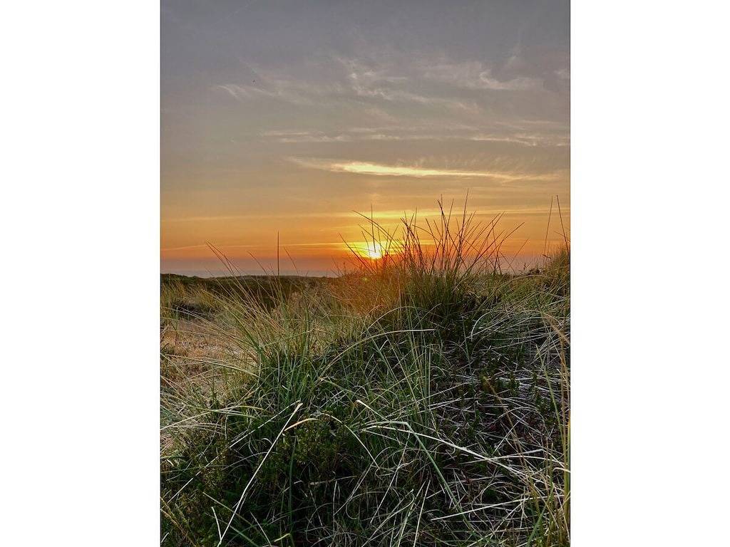 50 Og - Raanhof in Rantum, Sylt (Gemeinde)