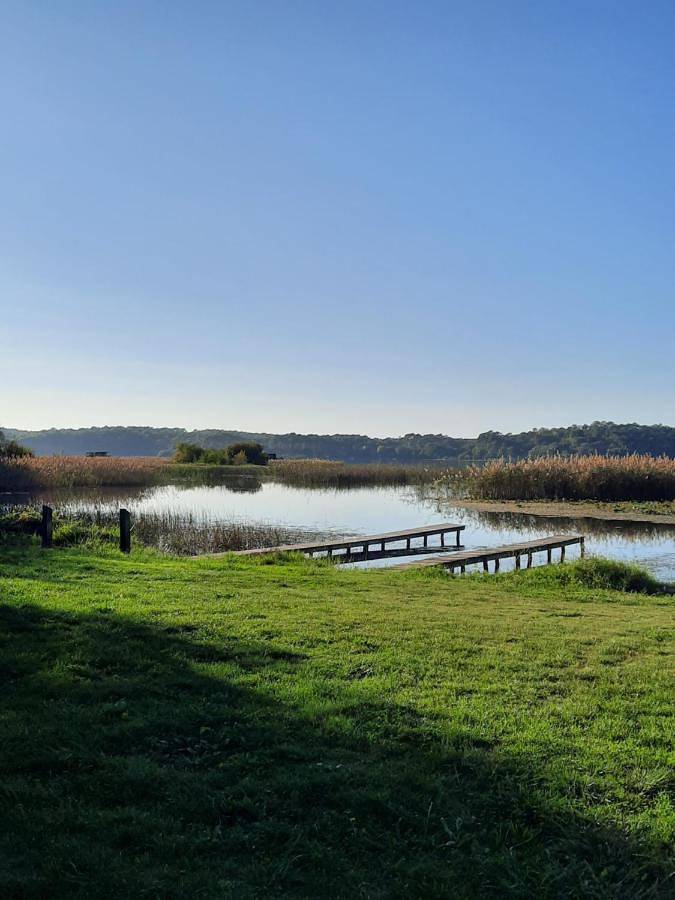 Gîte pour 6 personnes, avec piscine ainsi que vue et terrasse à Aureilhan - 3