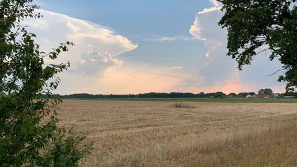 Ferienwohnung für 5 Personen in Vetschau, Lausitz, Bild 4