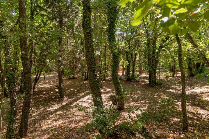 Location de vacances pour 10 personnes, avec jardin ainsi que terrasse et jacuzzi, animaux acceptés à Pedara - 4