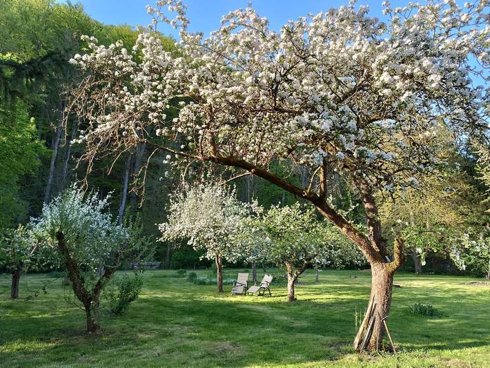Ganze Ferienwohnung, Villa Heimlicher Grund - Fewo Eg,3 Schlafz., 2 Bäder mit Wc, Küche, 140m² mit Terrasse und Garten im Denkmal geschützten Haus in Gräfenroda, Thüringer Kernland