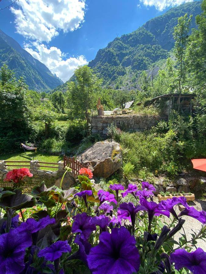 Chalet pour 12 personnes, avec jardin et vue, animaux acceptés à Le Bourg-d'Oisans - 2