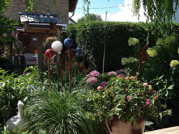 Ferienwohnung für 2 Personen, mit Terrasse und Ausblick in Lietzow - 4