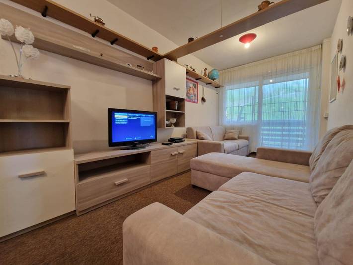 Ganze Wohnung, Bilocale sulle Piste in Frabosa Sottana, Artesina