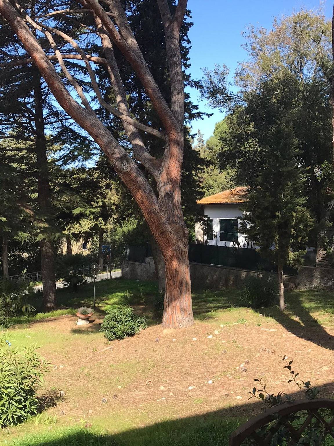 Ganze Ferienwohnung, Casa Annameri in Procchio, Elba