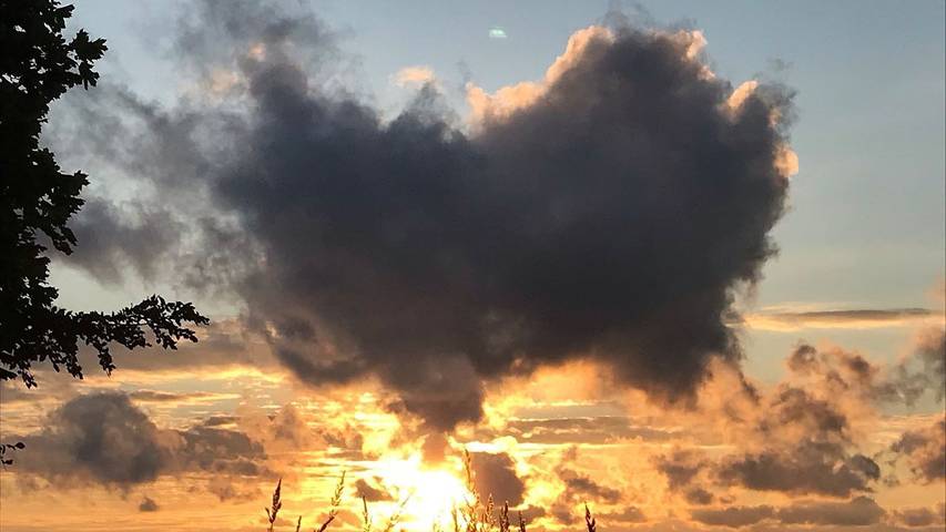 Ferienwohnung für 3 Personen, mit Garten in Sagard - 3