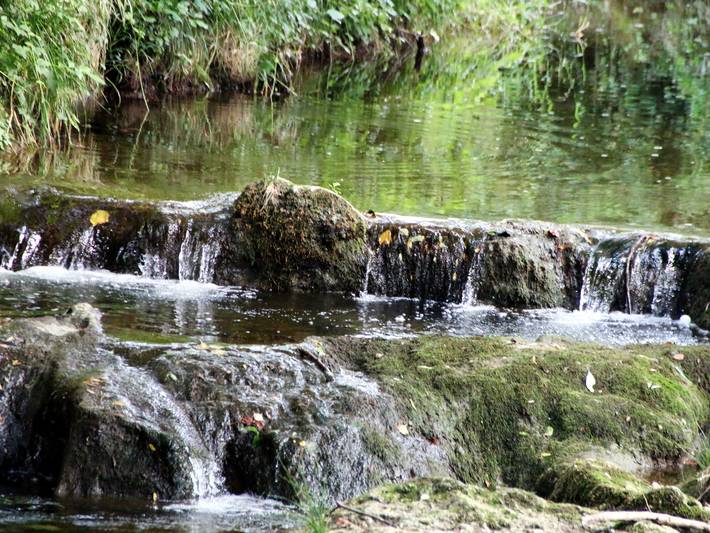 Ferienwohnung für 3 Personen, mit Garten, kinderfreundlich in Waging am See - 3