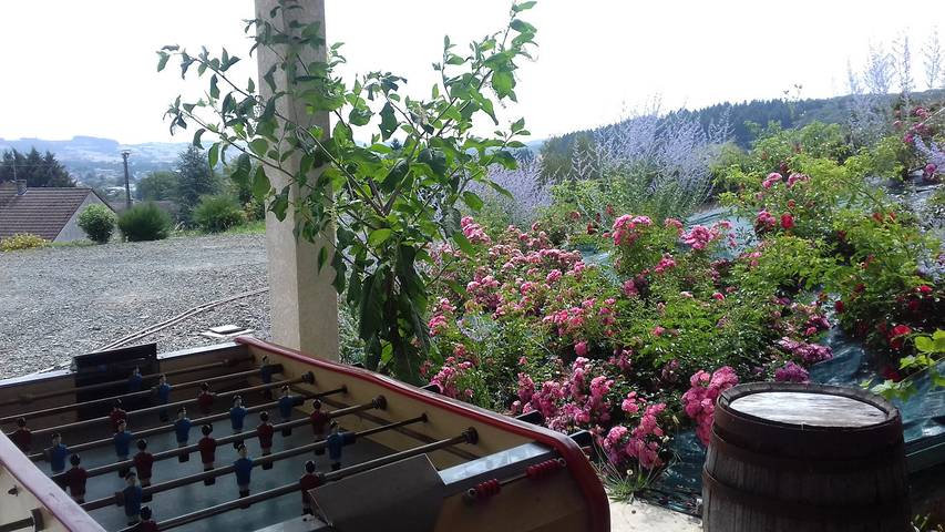 Gîte pour 10 personnes, avec jardin et terrasse, animaux acceptés dans Nièvre - 2