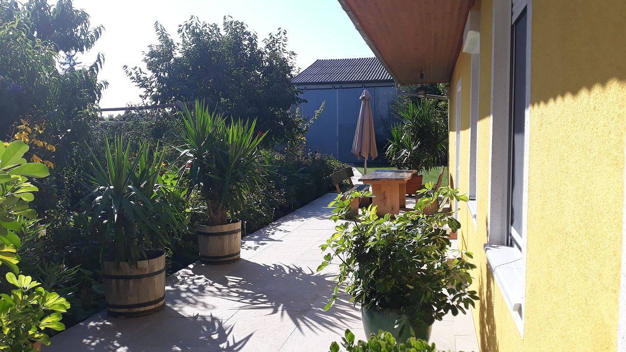 Ganze Ferienwohnung, Ferienwohnung für 8 Personen (100 m²) in Sankt Andrä am Zicksee in Sankt Andrä am Zicksee, Neusiedlersee-Hügelland