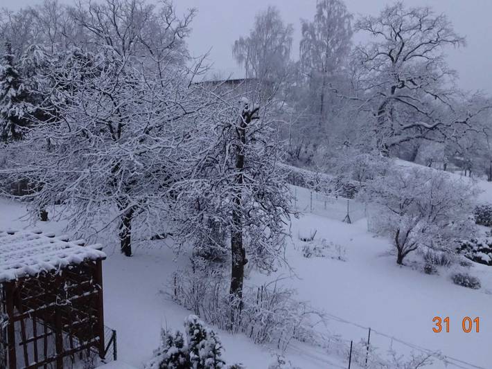Ferienhaus für 2 Personen, mit Garten und Terrasse sowie Ausblick, kinderfreundlich in Mecklenburgische Seenplatte - 4