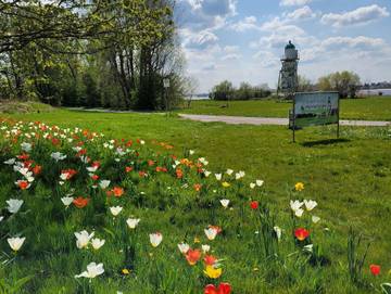 Ferienwohnung für 4 Personen in Unterweser, Schwanewede, Bild 2