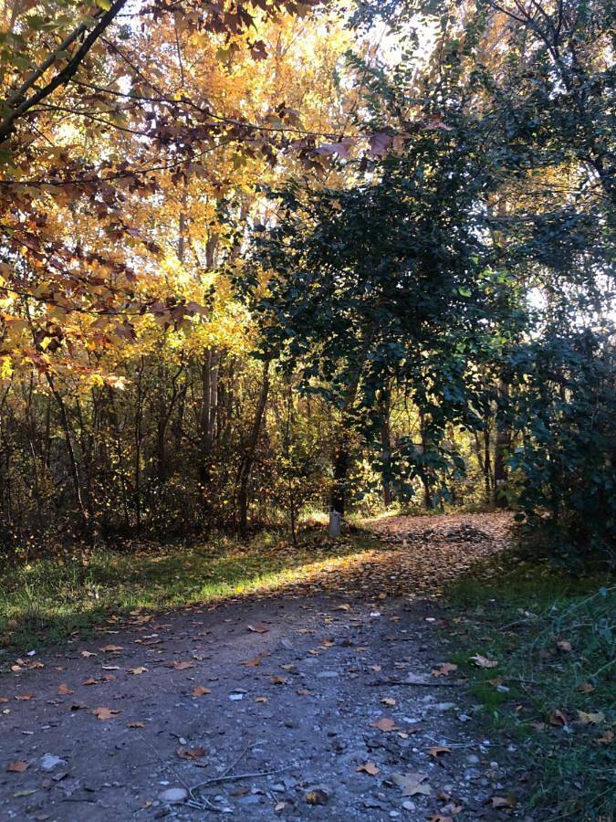 Gîte pour 4 personnes, avec terrasse à Pinos Genil - 2