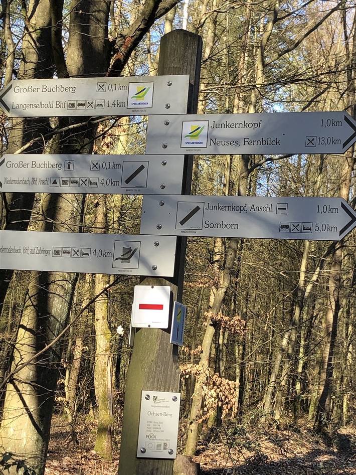 Ferienhaus für 2 Personen, mit Garten, kinderfreundlich in Spessart-Mainland - 3