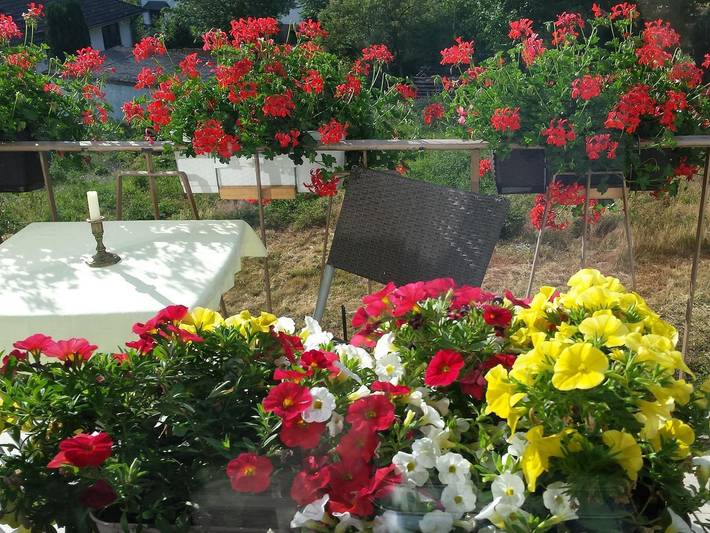 Ferienwohnung für 5 Personen, mit Garten in Kell am See - 3