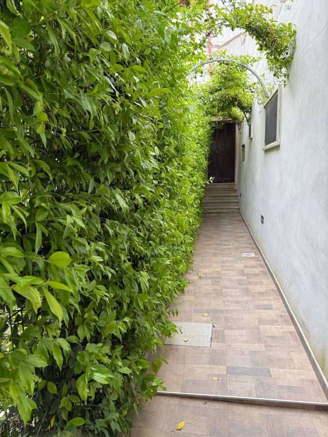 Gîte pour 6 personnes, avec vue et terrasse, animaux acceptés à Mesagne - 3