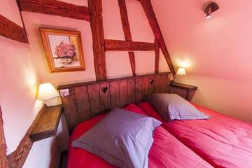 Gîte pour 3 Personnes dans Ribeauvillé, Région de Ribeauvillé, Photo 4