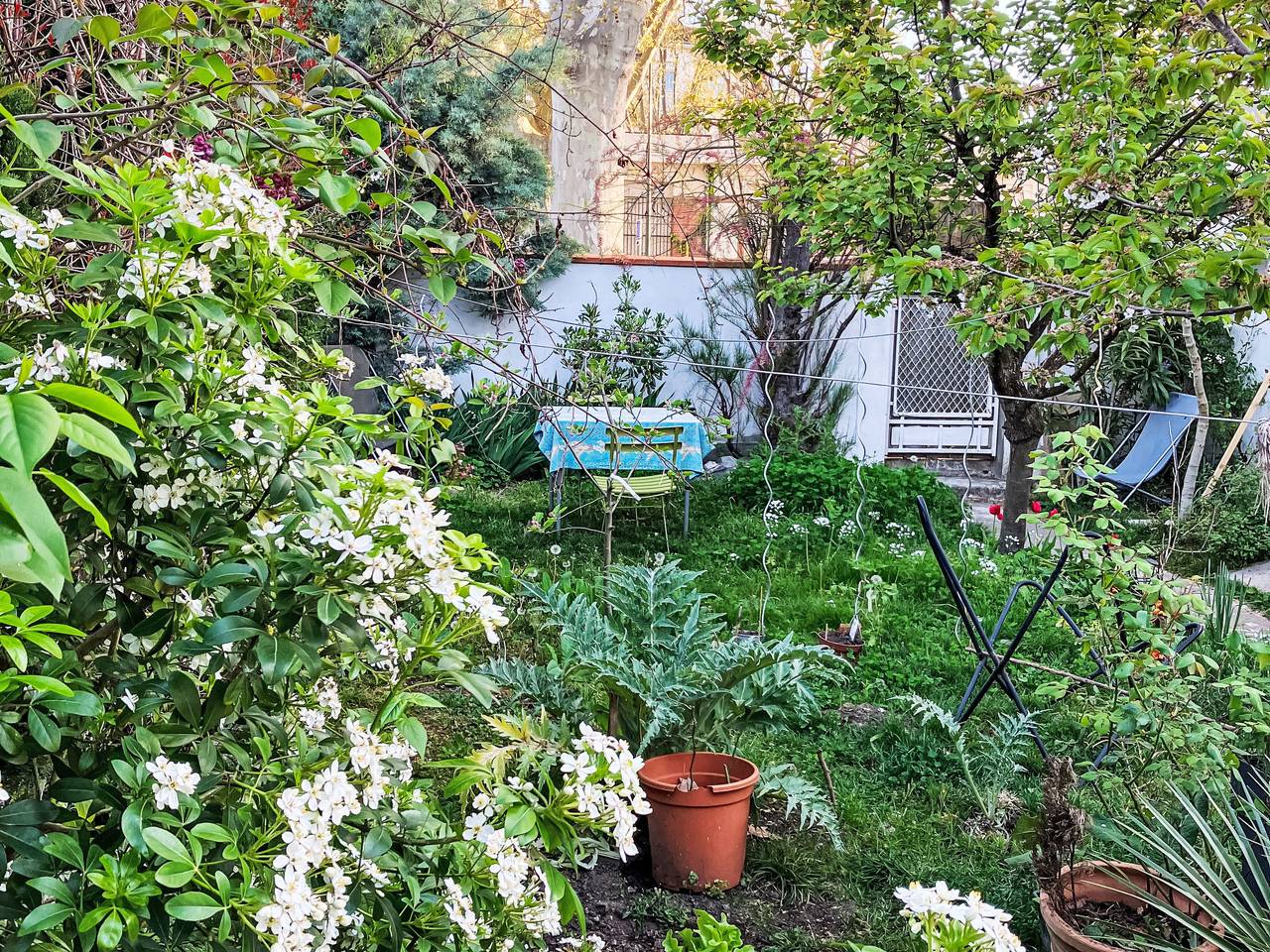 Gästezimmer "Toulousaine arborée". in Toulouse, Toulouse et ses environs