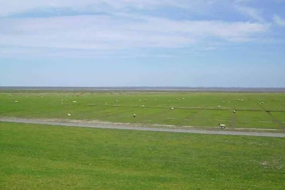 Room 8 single room - Bed & Breakfast behind the North Sea dike in Friedrichskoog, Friedrichskoog Region