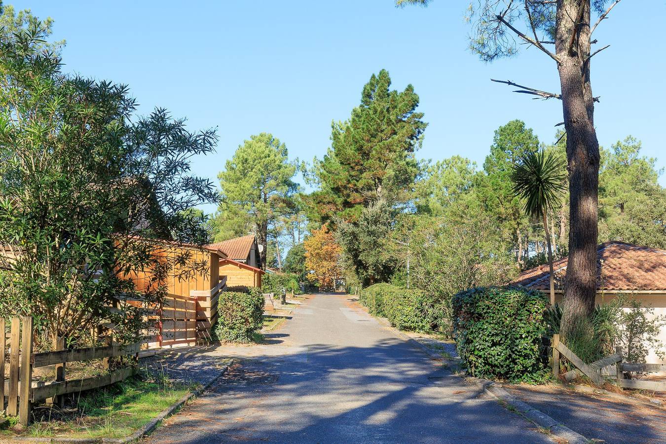Ganzes Studio, Studio „Saint Amon“ mit Gemeinschaftspool, privater Terrasse und Klimaanlage in Moliets-et-Maa, Côte d’Argent