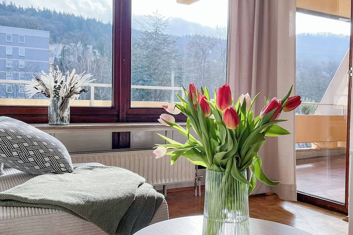 Ferienwohnung für 4 Personen, mit Balkon in Bad Neuenahr