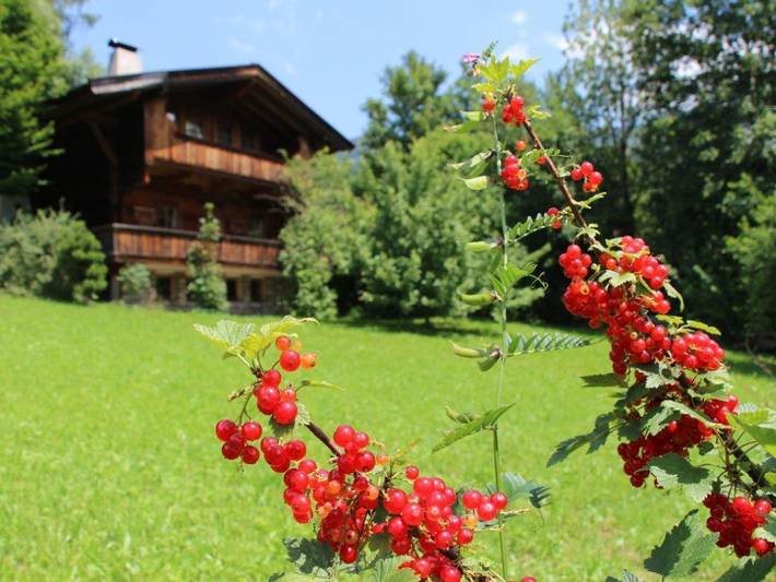 Ferienhaus für 7 Personen, mit Balkon und Terrasse sowie Garten in Alpbach - 3