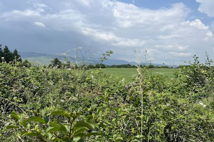 Location de vacances pour 8 personnes, avec balcon et jardin à Charnay-lès-Mâcon