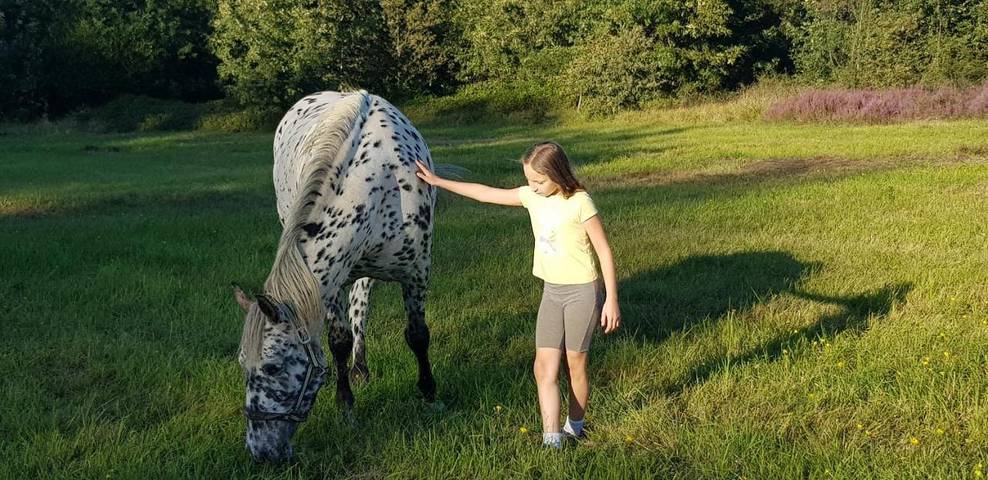 Location de vacances pour 12 personnes, avec piscine ainsi que jardin et vue à Cendrieux