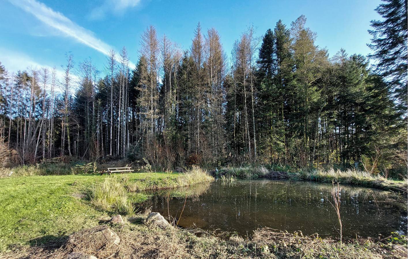 Appartement de vacances entier, Retraite en bord de mer avec piscine et jardin, parking - 2km du Rabodeau in Le Saulcy, Saint-Dié-des-Vosges