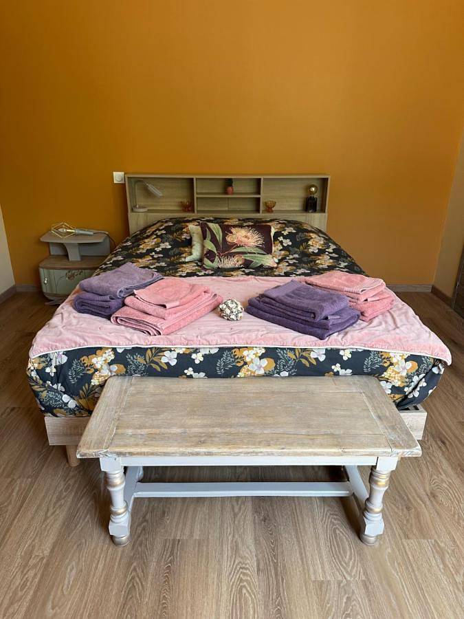 Gîte pour 4 personnes, avec vue et jardin, animaux acceptés à Avize - 3