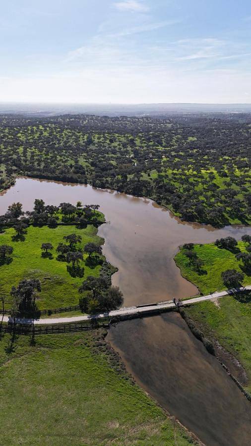 Alojamiento Rural Finca Barral in Guillena, Provincia de Sevilla