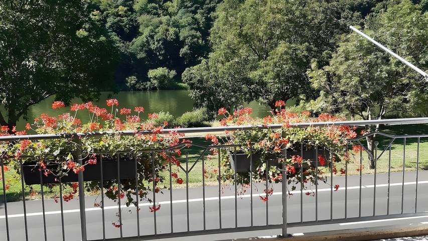 B&B für 2 Personen, mit Balkon in Rheinland-Pfalz - 4